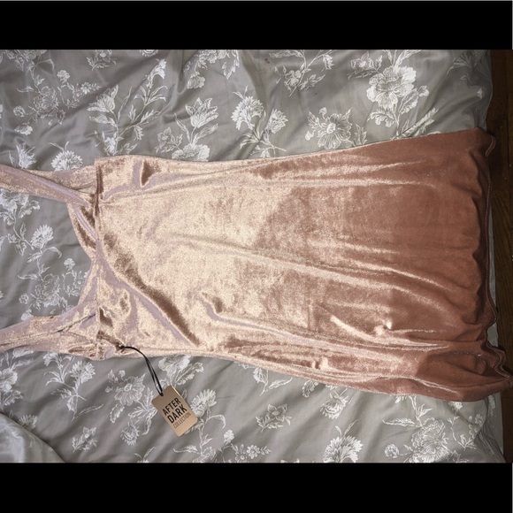 Forever 21 Pink Velvet Party Dress NWT - Picture 4 of 6